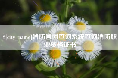 眉山消防官网查询系统查询消防职业资格证书
