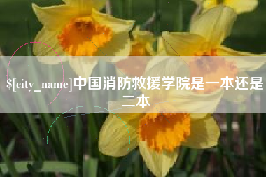 眉山中国消防救援学院是一本还是二本