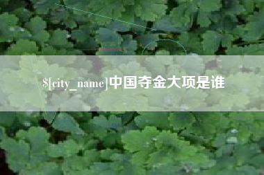 眉山中国夺金大项是谁
