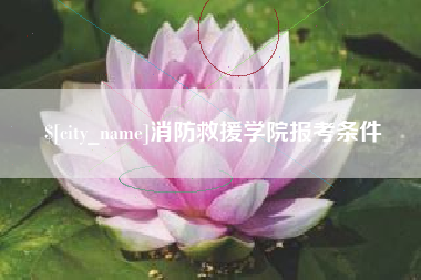 眉山消防救援学院报考条件