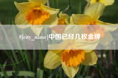 眉山中国已经几枚金牌