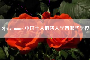 眉山中国十大消防大学有哪些学校