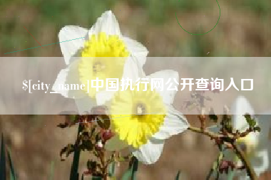 眉山中国执行网公开查询入口