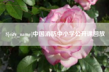 眉山中国消防中小学公开课回放
