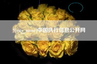 眉山中国执行信息公开网