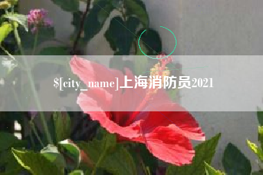 眉山上海消防员2021