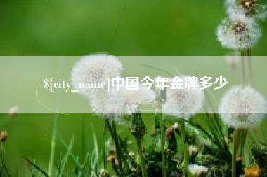 眉山中国今年金牌多少