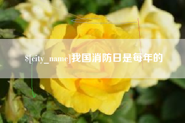 眉山我国消防日是每年的