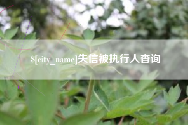 眉山失信被执行人杳询