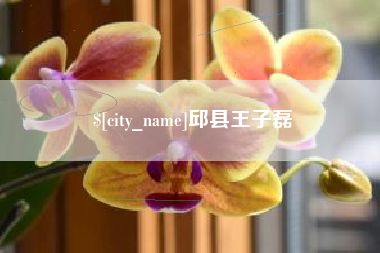 眉山邱县王子磊
