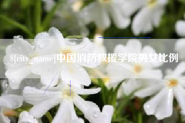 眉山中国消防救援学院男女比例