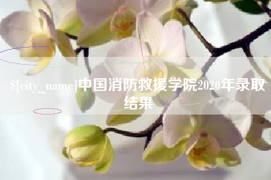 眉山中国消防救援学院2020年录取结果