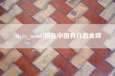 眉山现在中国有几名金牌