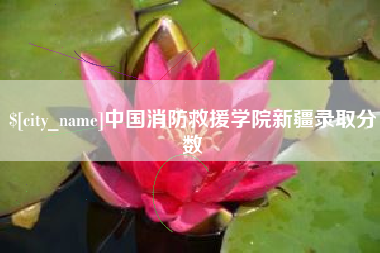 眉山中国消防救援学院新疆录取分数