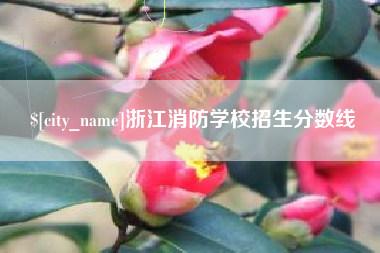 眉山浙江消防学校招生分数线