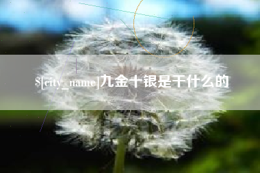 眉山九金十银是干什么的