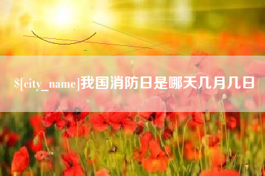 眉山我国消防日是哪天几月几日