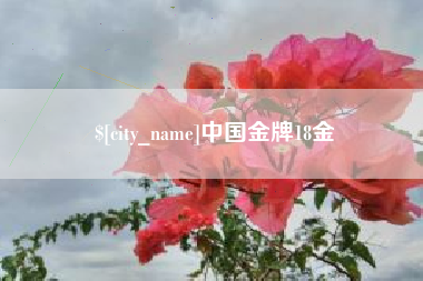 眉山中国金牌18金