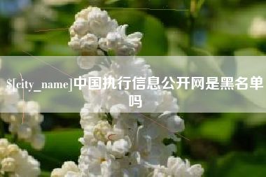 眉山中国执行信息公开网是黑名单吗