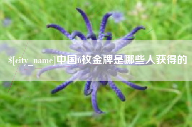 眉山中国6枚金牌是哪些人获得的