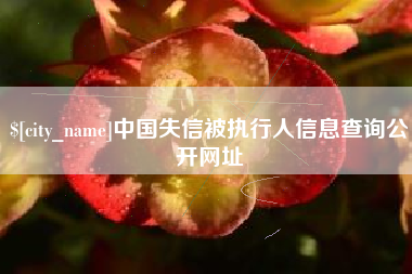眉山中国失信被执行人信息查询公开网址