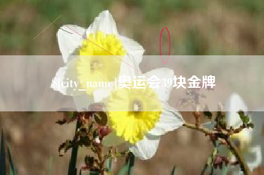 眉山奥运会39块金牌