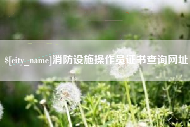 眉山消防设施操作员证书查询网址