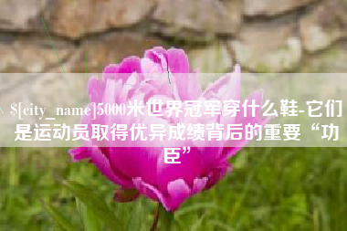 眉山5000米世界冠军穿什么鞋-它们是运动员取得优异成绩背后的重要“功臣”