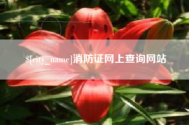 眉山消防证网上查询网站