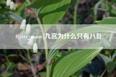 眉山九宫为什么只有八卦