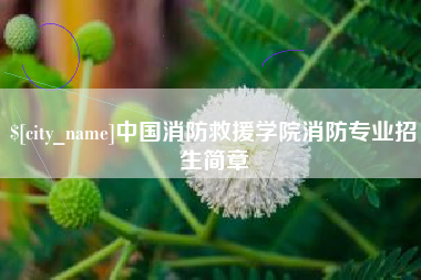 眉山中国消防救援学院消防专业招生简章