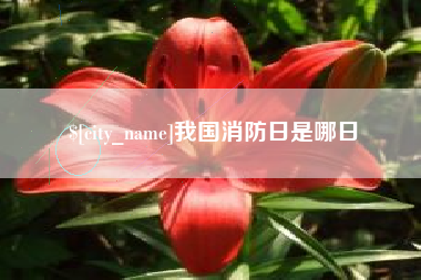 眉山我国消防日是哪日
