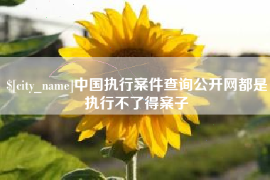 眉山中国执行案件查询公开网都是执行不了得案子