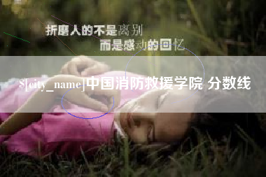 眉山中国消防救援学院 分数线