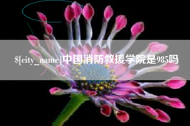 眉山中国消防救援学院是985吗