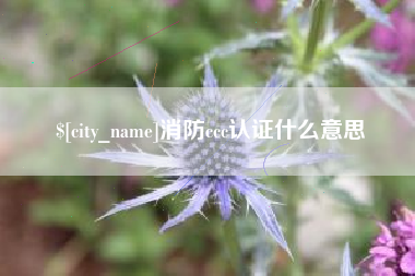 眉山消防ccc认证什么意思