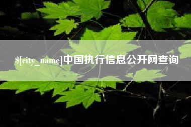 眉山中国执行信息公开网查询