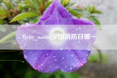 眉山全国消防日哪一