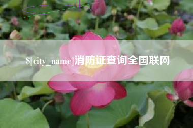 眉山消防证查询全国联网