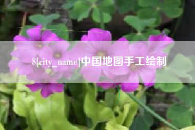 眉山中国地图手工绘制