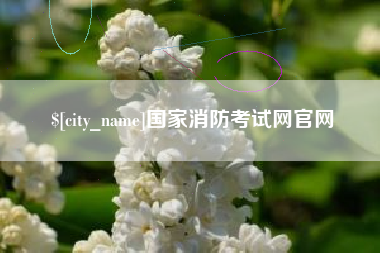 眉山国家消防考试网官网