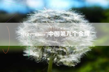 眉山中国第九个金牌