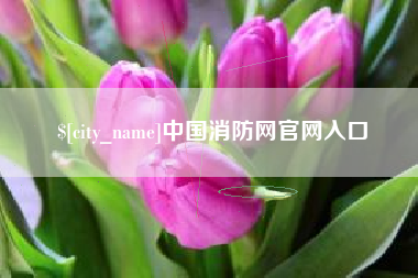 眉山中国消防网官网入口