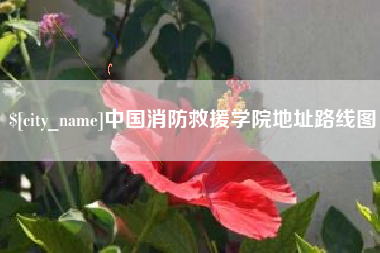 眉山中国消防救援学院地址路线图