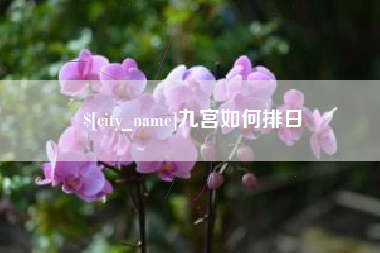 眉山九宫如何排日