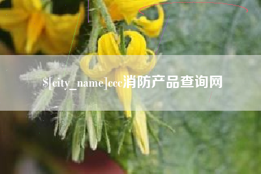 眉山ccc消防产品查询网