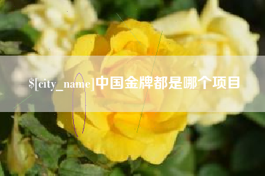 眉山中国金牌都是哪个项目