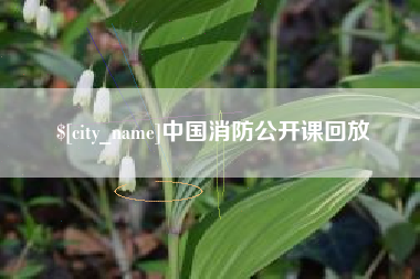 眉山中国消防公开课回放