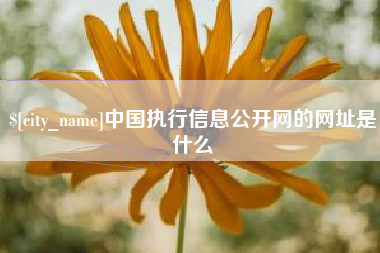 眉山中国执行信息公开网的网址是什么