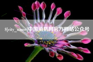 眉山中国消防网官方网站公众号